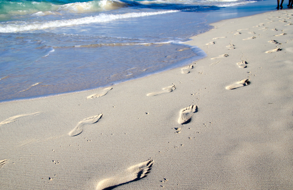 Footprints in wet sand of beach